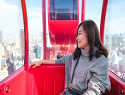 HEP Ferris Wheel Ticket